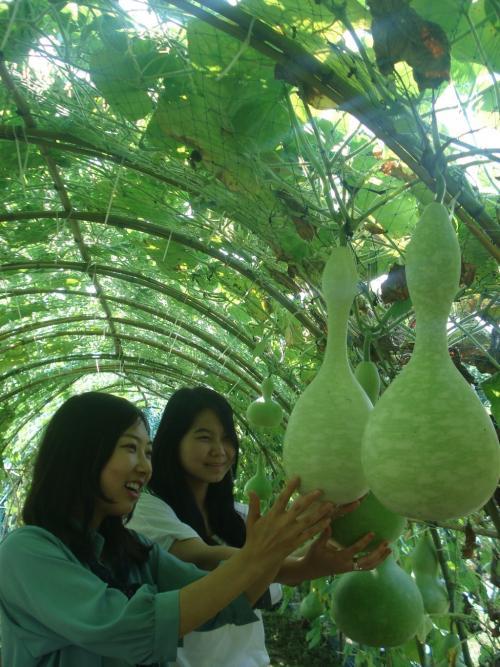 만든곳: 한국 네티즌본부 카페