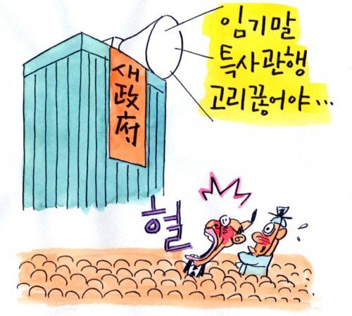 작성처:Daum Cafe/한국네티즌본부
