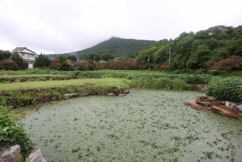 사진이 안 나오면→ 우칙클릭→ 사진보기클릭: 작성: '한국 네티즌본부' 카페