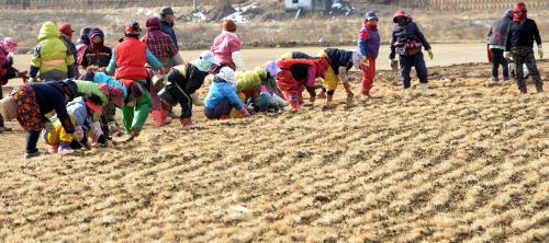 사진이 안보일 때→우측클릭→'사진보기' 클릭, OK. ☞작성: Daum카페: 한국 네티즌본부
