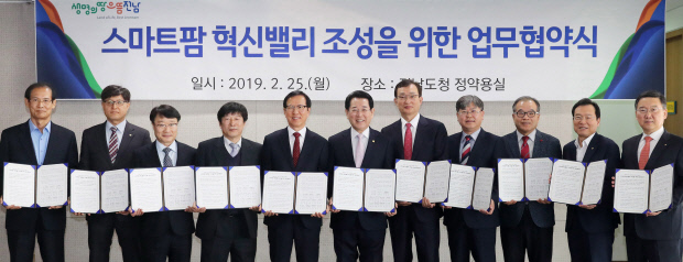 팜밸리 이미지