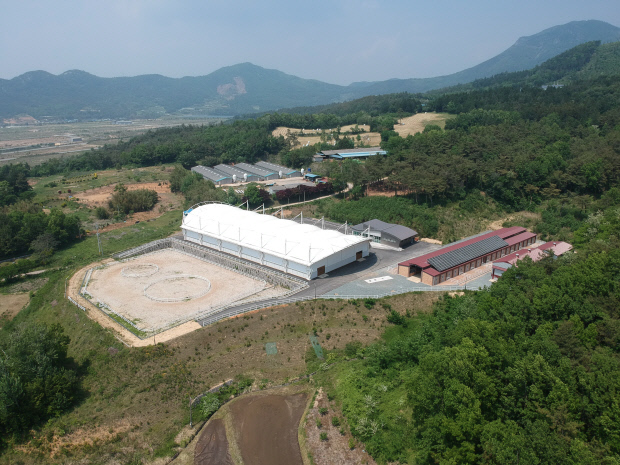장흥 승마체육공원 이미지